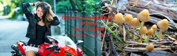 a pvp Горнозаводск
