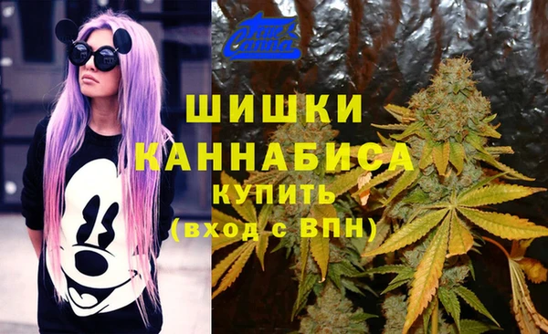mdpv Горняк