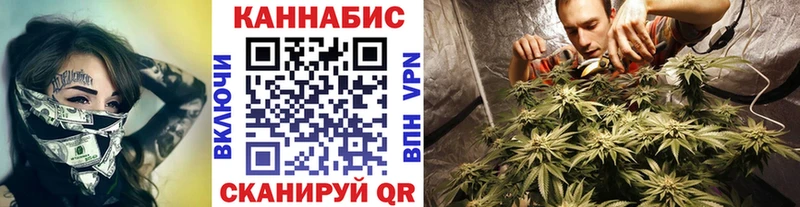 Купить закладки  Томилино  МАРИХУАНА VHQ 